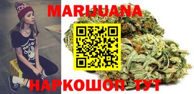 тгк Кингисепп