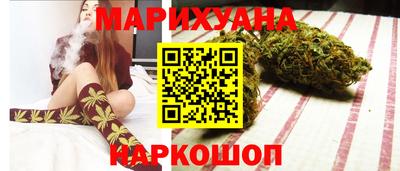тгк Кингисепп