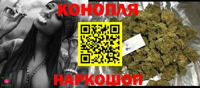 тгк Кингисепп