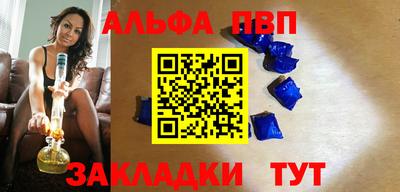 тгк Кингисепп