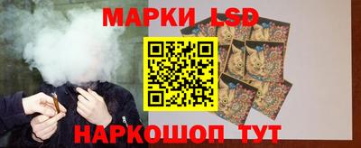 тгк Кингисепп