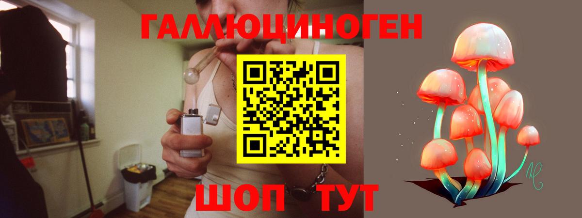Галлюциногенные грибы Magic Shrooms Комсомольск-на-Амуре
